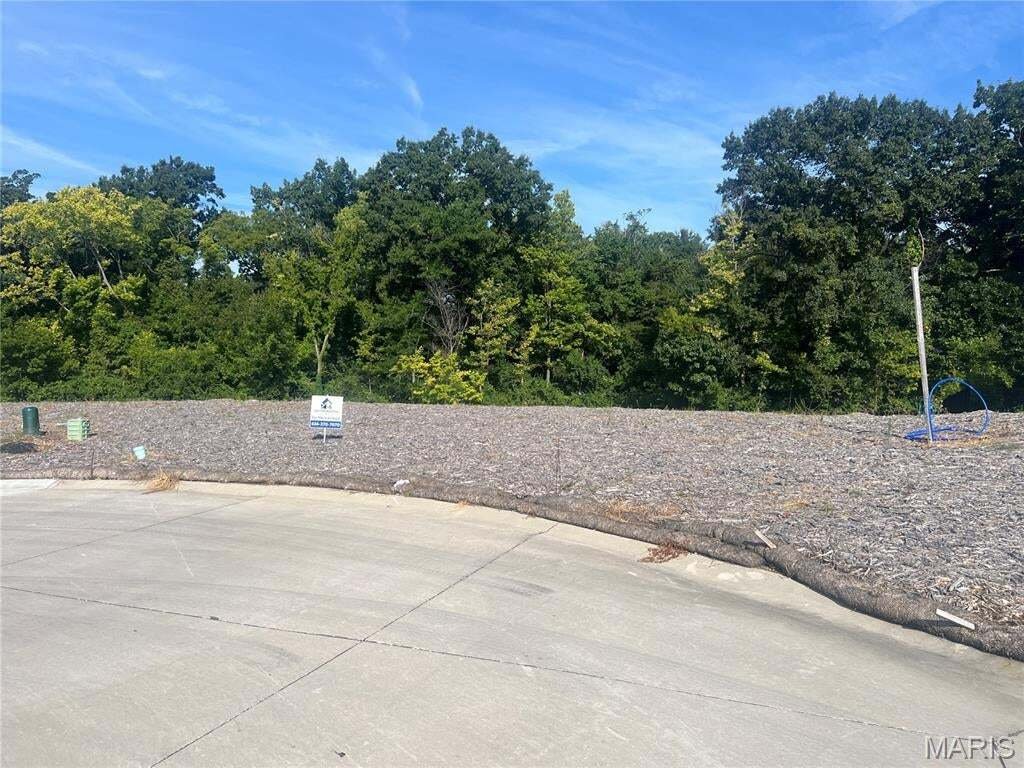House in Wentzville, Missouri, United States 1 - 18713896