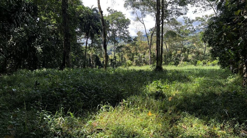 Land in Rivas, San José Province, Costa Rica 4 - 18709551