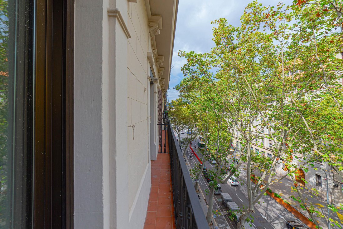 Apartment in Eixample, Barcelona, Spain 4 - 18302506
