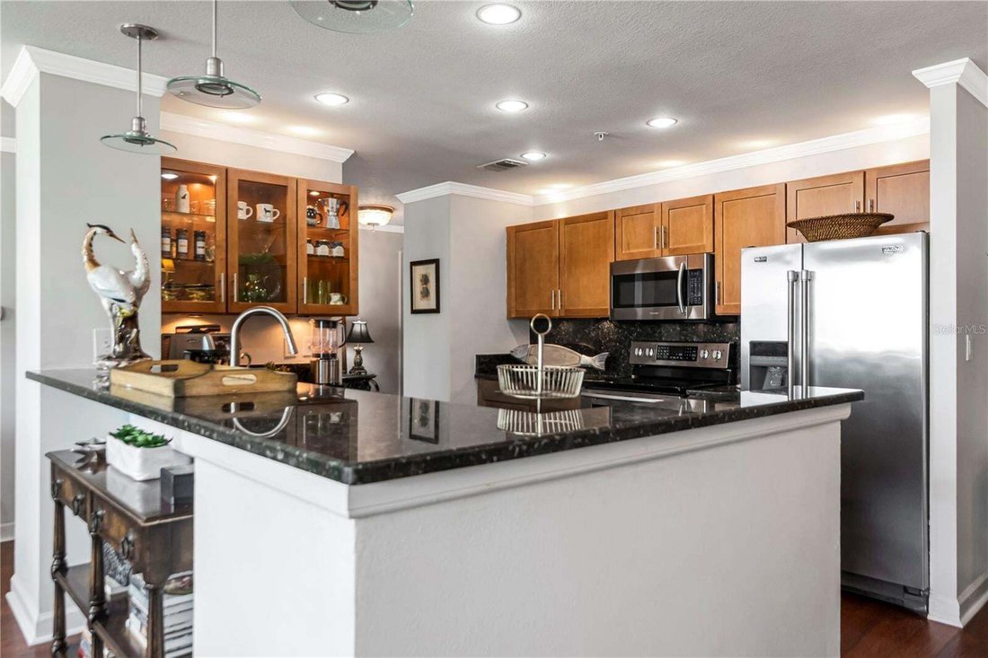 Appartement à Tampa, Floride, États-Unis 3 - 18705610