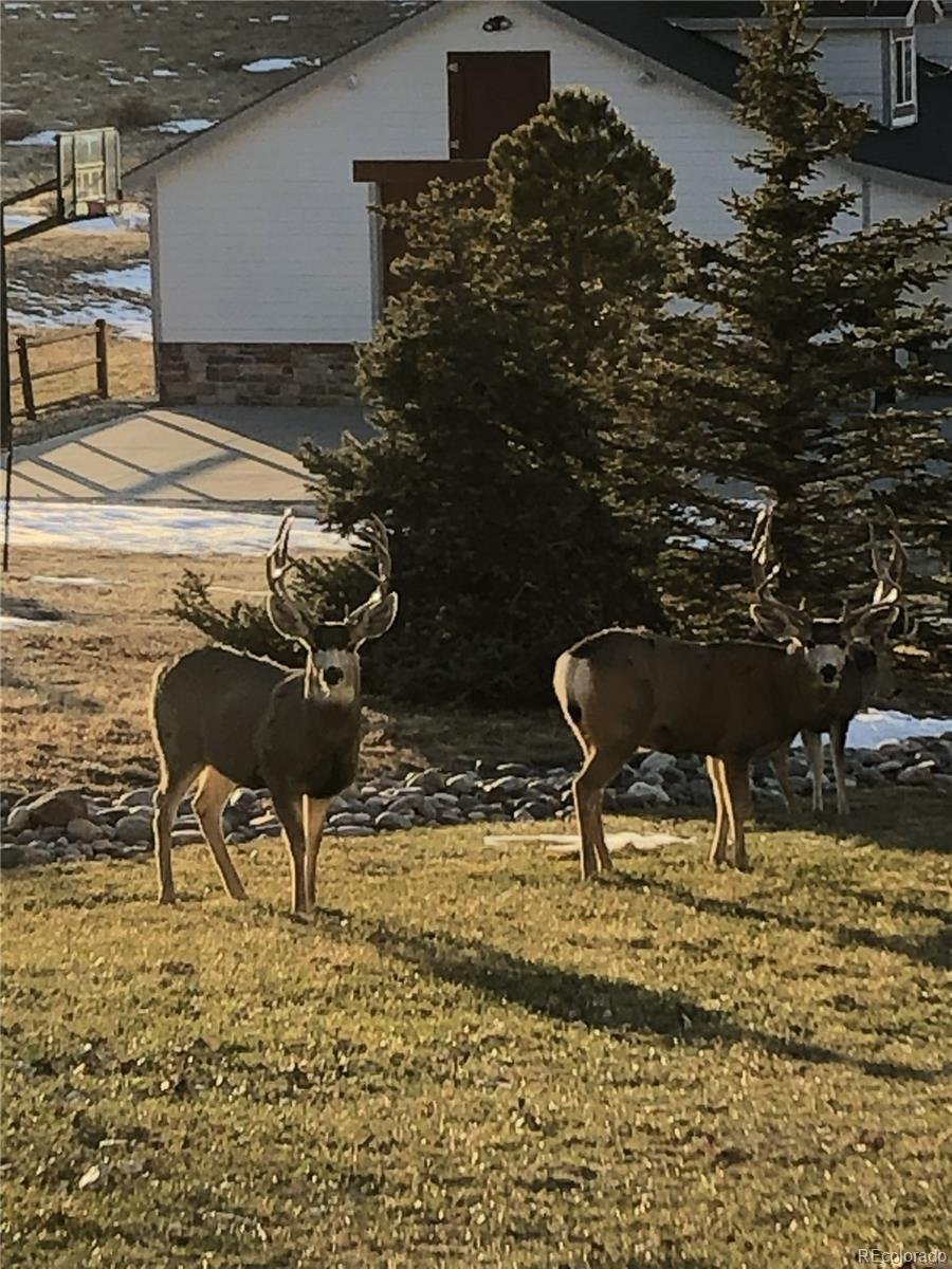 Haus in Parker, Colorado, Vereinigte Staaten 4 - 18015672