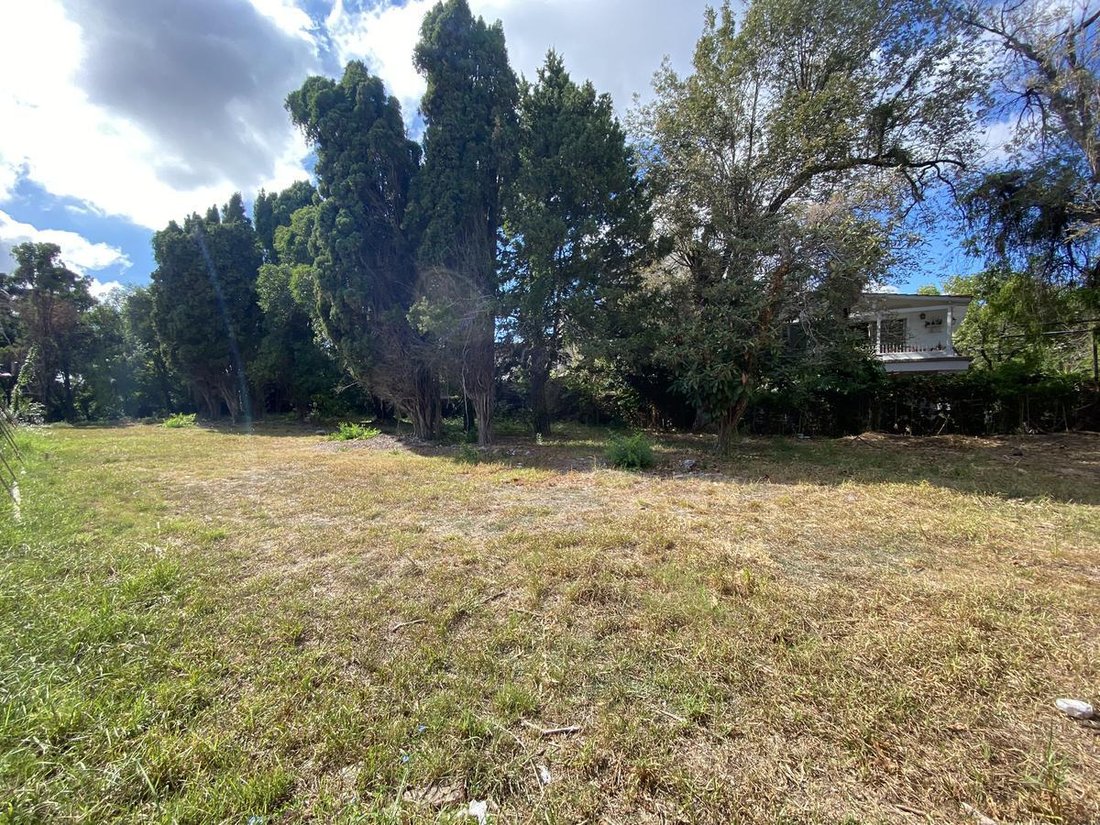Land in San Fernando, Buenos Aires Province, Argentina 2 - 18702450