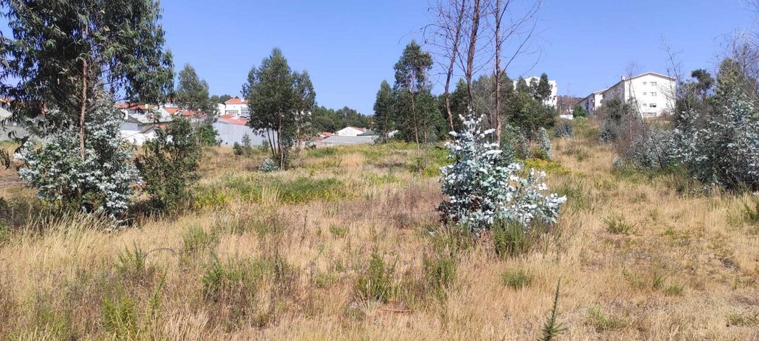 Land in Alfena, Porto District, Portugal 5 - 18708996