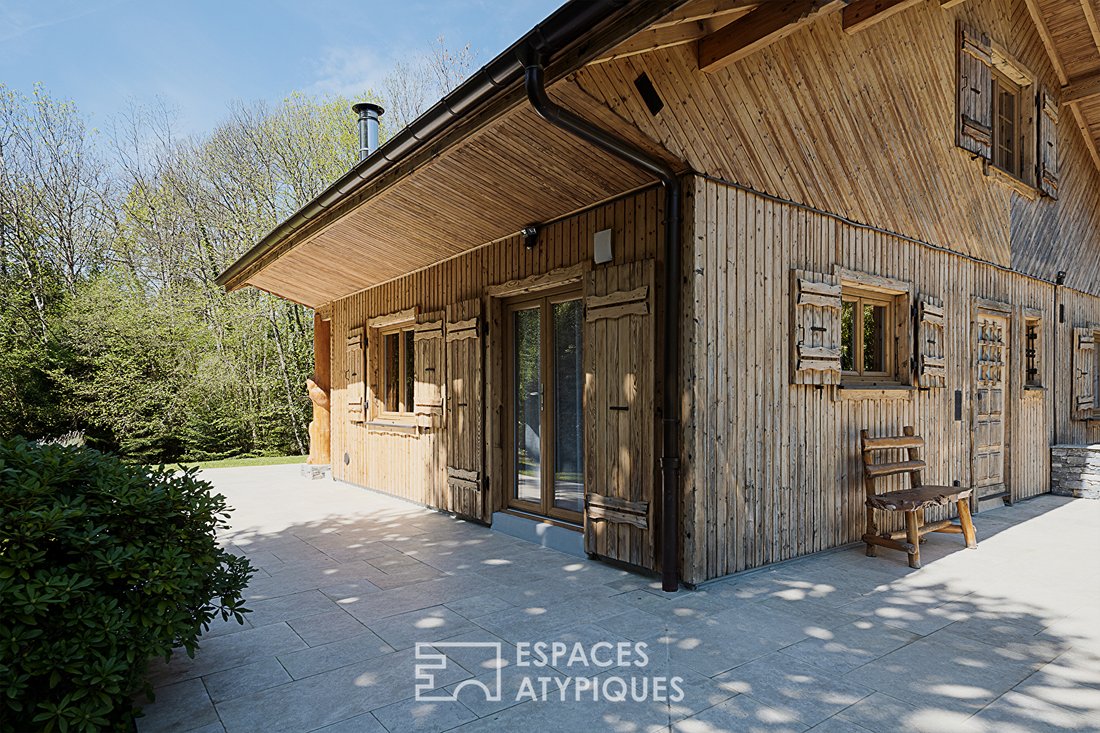 Villa in Bons-en-Chablais, Auvergne-Rhône-Alpes, France 4 - 18707391