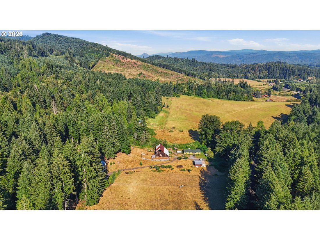 House in Amboy, Washington, United States 2 - 18708829