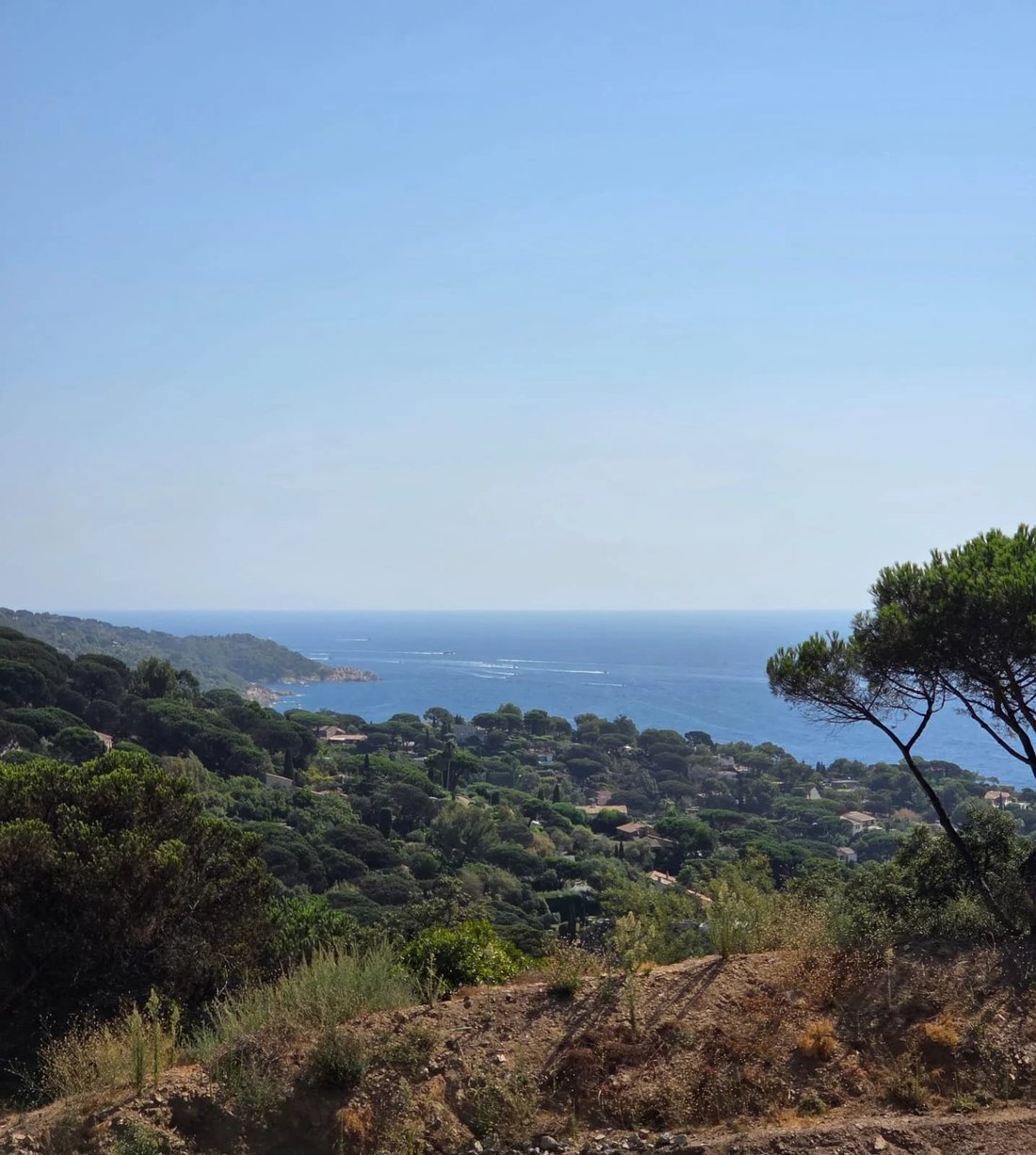 Land in Ramatuelle, Provence-Alpes-Côte d'Azur, France 4 - 18704467