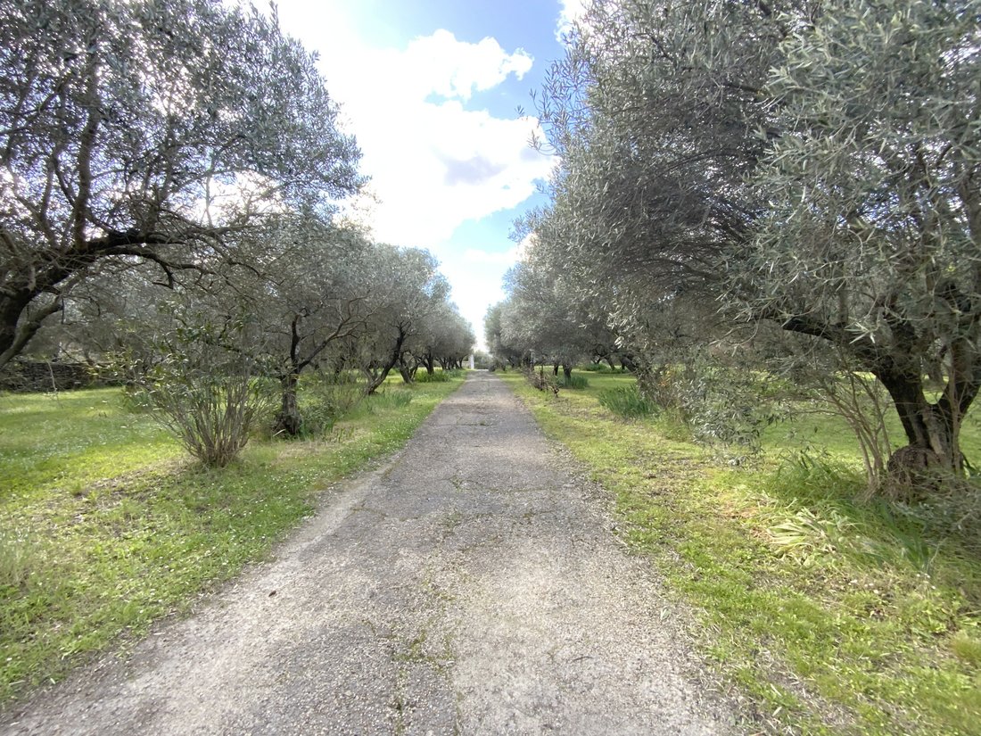 Land in Uza, Nouvelle-Aquitaine, France 2 - 18710583