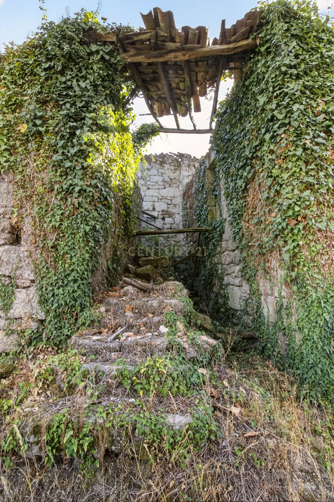 Farm Ranch in Verim, Friande e Ajude, Braga, Portugal 3 - 18711716