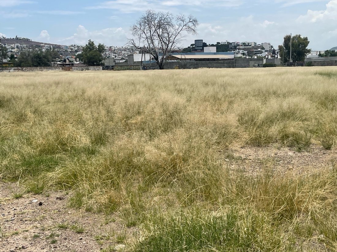 Land in Santiago de Querétaro, Santiago de Querétaro, Mexiko 2 - 18704881