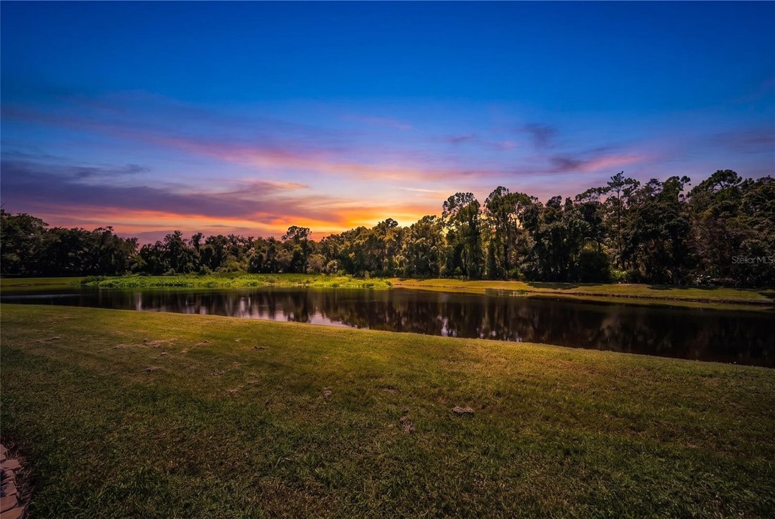 House in Bradenton, Florida, United States 5 - 18702989