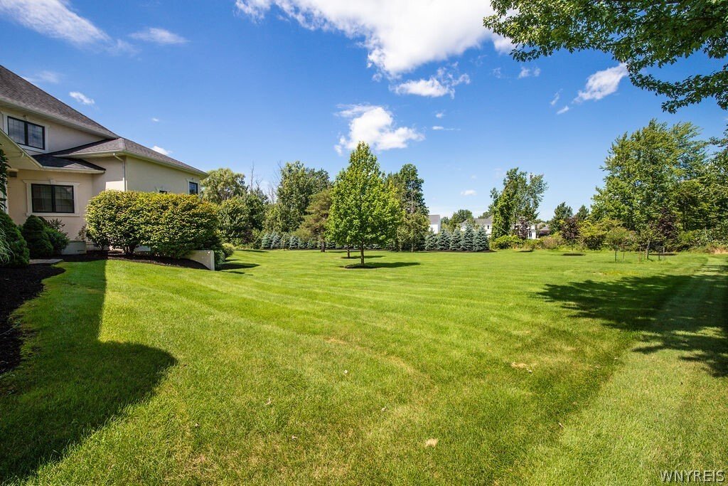 Amherst, New York, United States 3 - 18710927