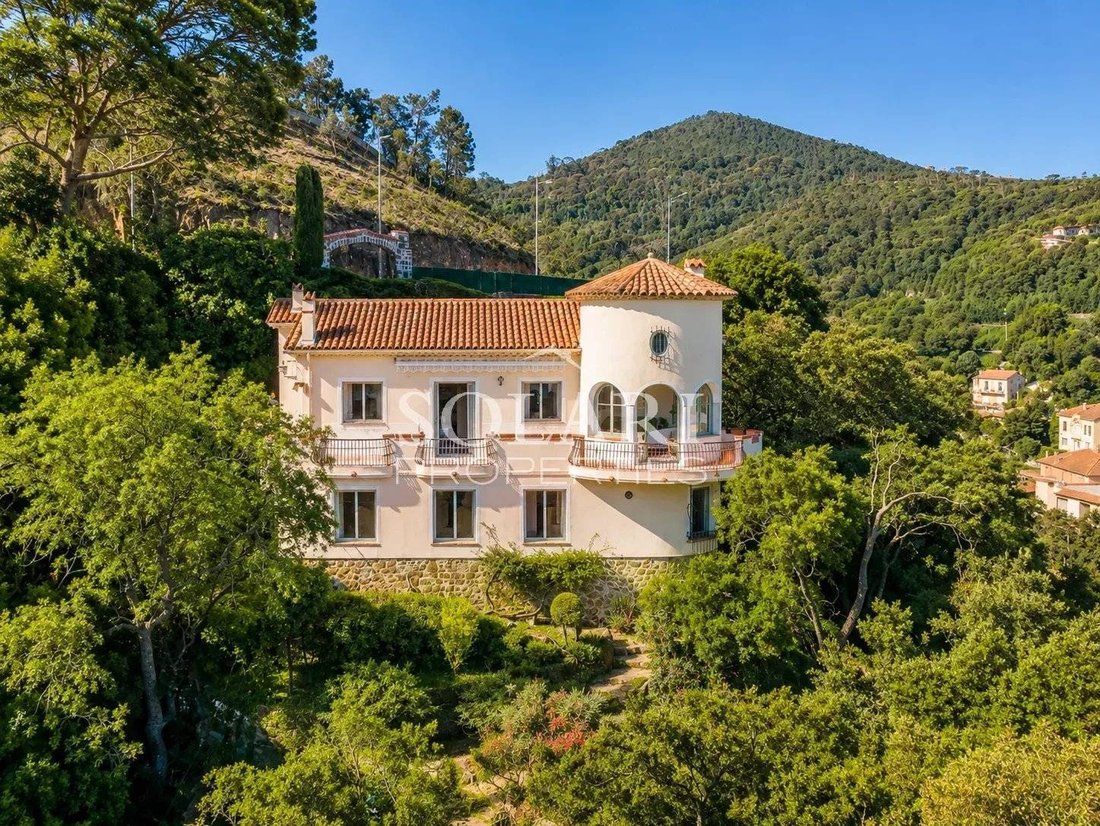 Villa in Théoule-sur-Mer, Provence-Alpes-Côte d'Azur, France 4 - 17865691