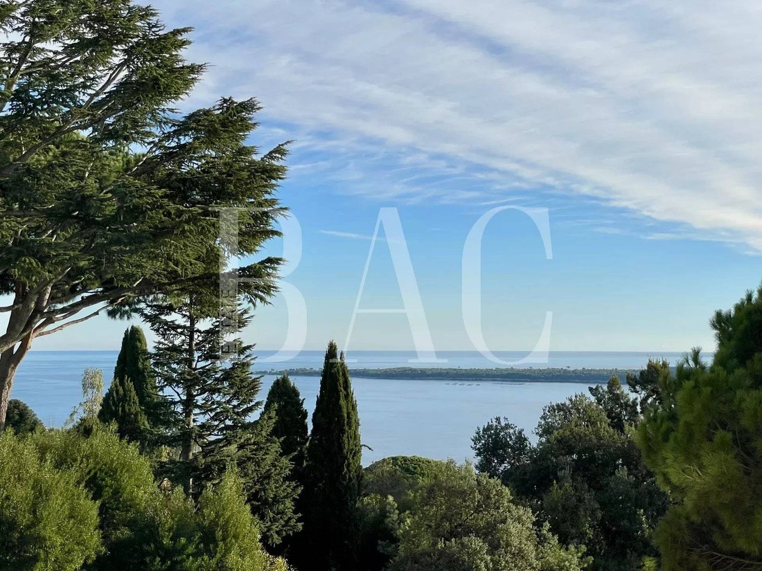 Apartment in Cannes, Provence-Alpes-Côte d'Azur, France 1 - 16735274