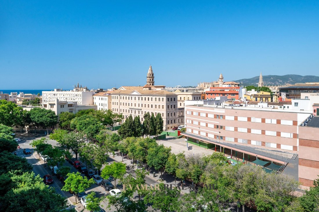 Apartment in Palma, Balearic Islands, Spain 3 - 18705854