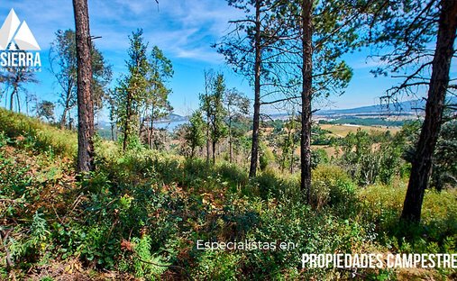 Land in Apapaxtla el Grande, Hidalgo, Mexico 1