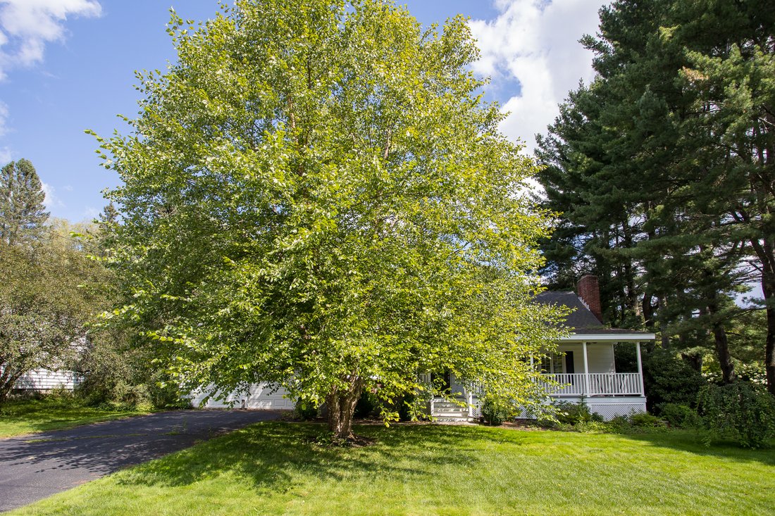 House in Pittsfield, Massachusetts, United States 3 - 18704444