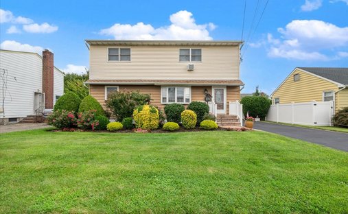 House in Bethpage, New York, United States 1