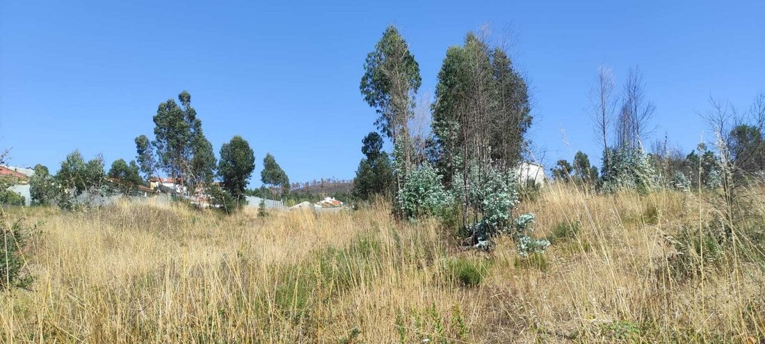 Land in Alfena, Porto District, Portugal 2 - 18708996