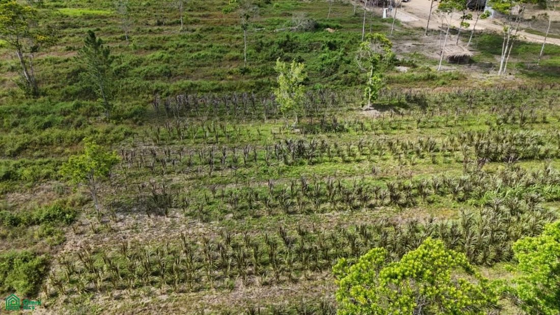 Terrain en Bladen, Tolède, Belize 1 - 18705365