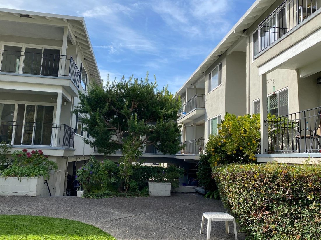 Palo Alto, California, United States 3 - 18703009