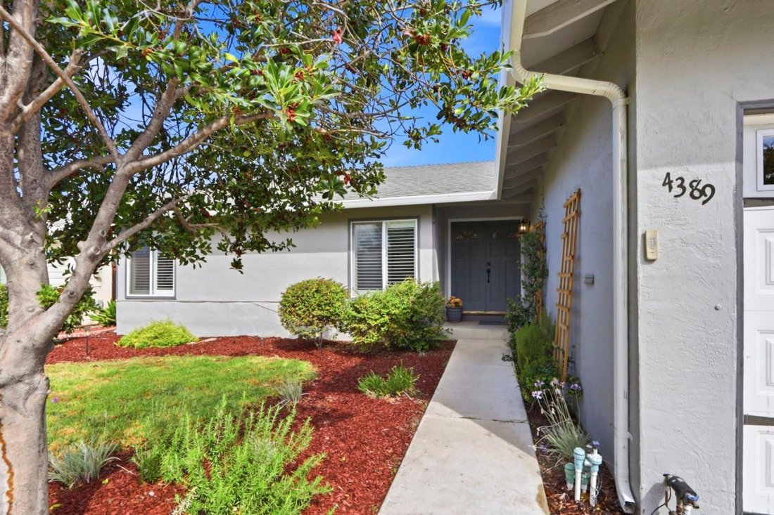 House in San Jose, California, United States 5 - 18711179