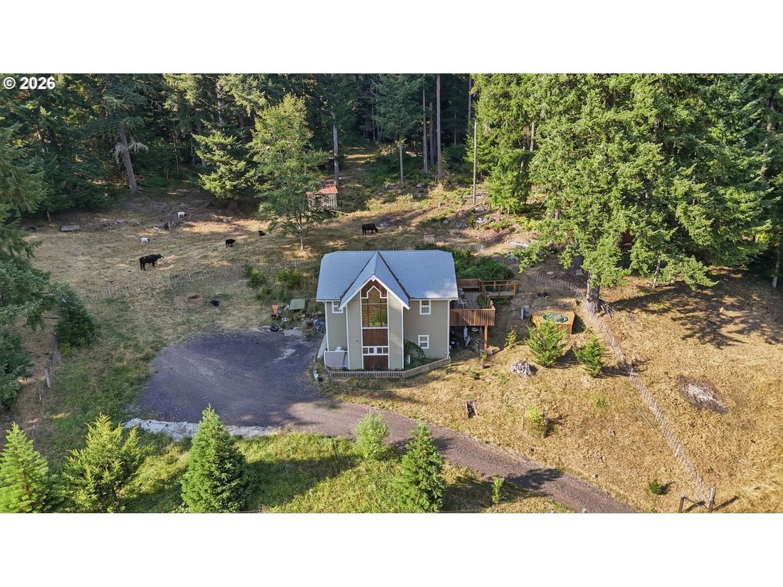 House in Amboy, Washington, United States 1 - 18708829