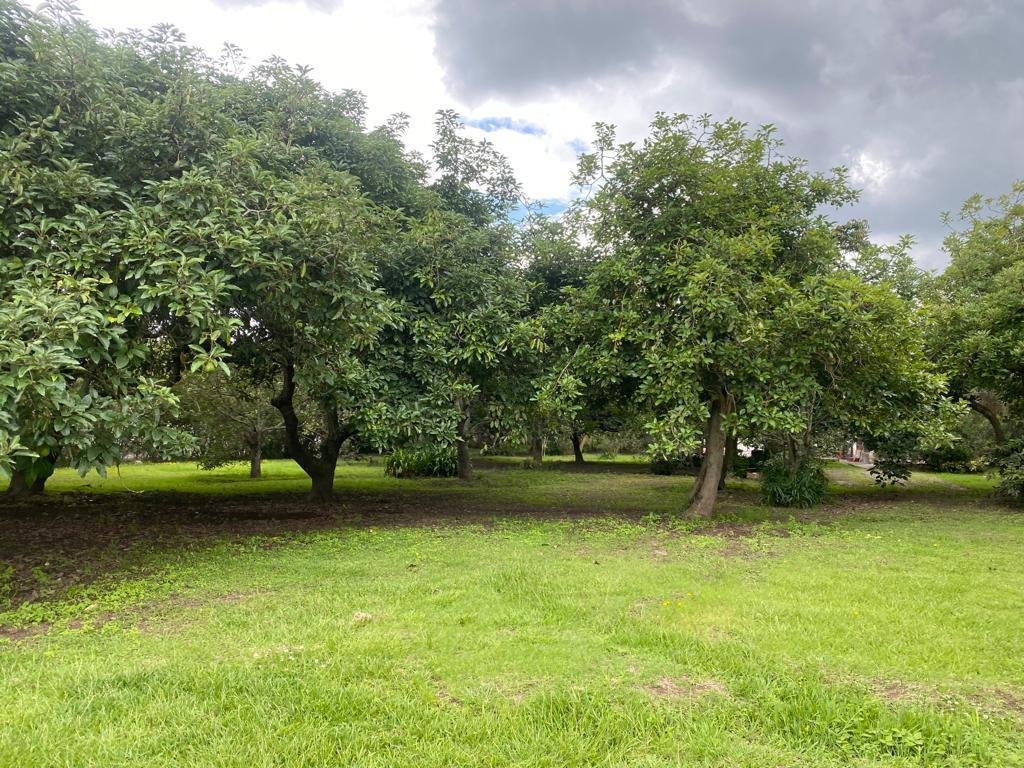 Land in Quito, Pichincha, Ecuador 4 - 18704338