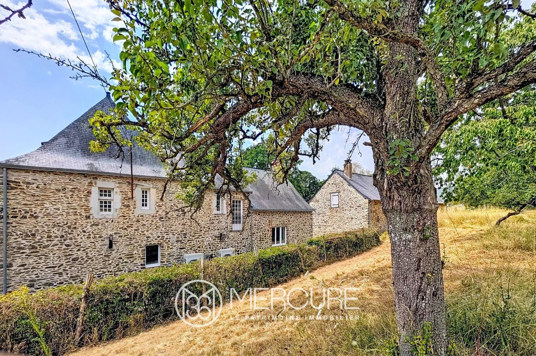 Estate in Gué d'Orger-Dacterie, Laval, Pays de la Loire 2 - 18704494