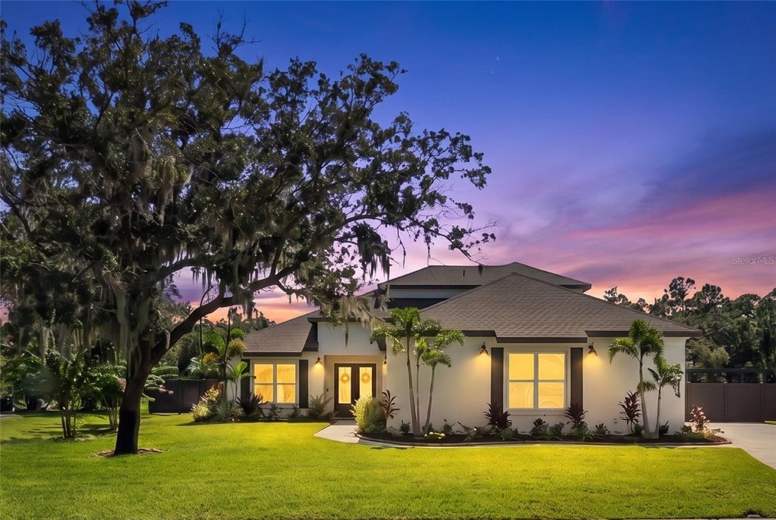 House in Bradenton, Florida, United States 1 - 18702989