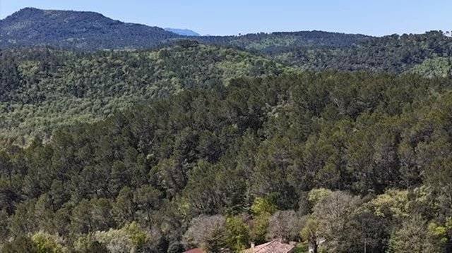 Villa in Chateauvert, Provence-Alpes-Côte d'Azur, Frankreich 5 - 16301519