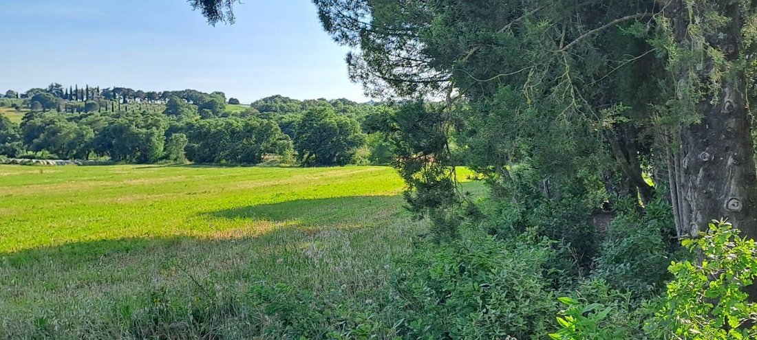 Country House in Civitella Paganico, Tuscany, Italy 4 - 18707033
