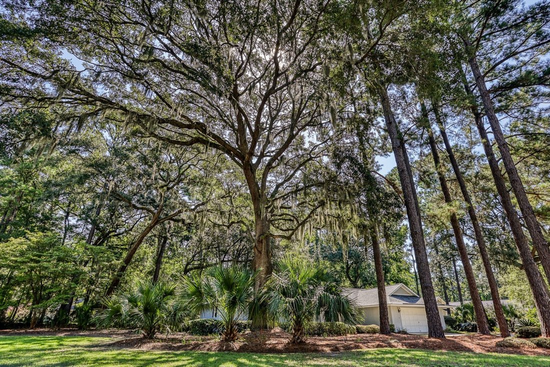 House in Savannah, Georgia, United States 5 - 18702729