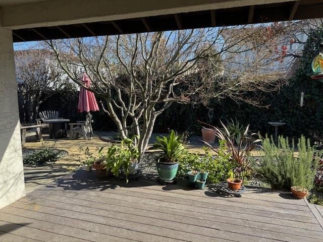 Altro a Redwood City, California, Stati Uniti 5 - 18713403