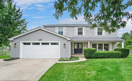 Maison à Schaumburg, Illinois, États-Unis 1