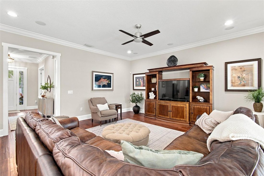 House in Tampa, Florida, United States 5 - 18705646