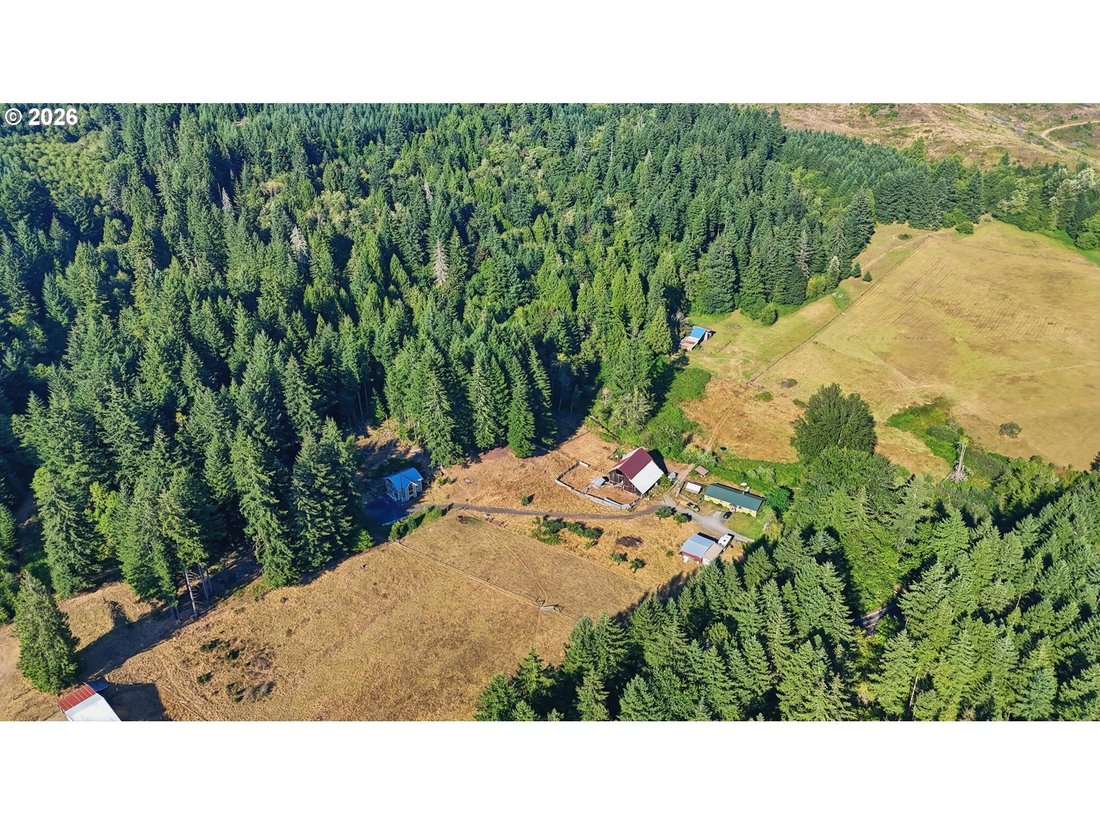 House in Amboy, Washington, United States 4 - 18708829