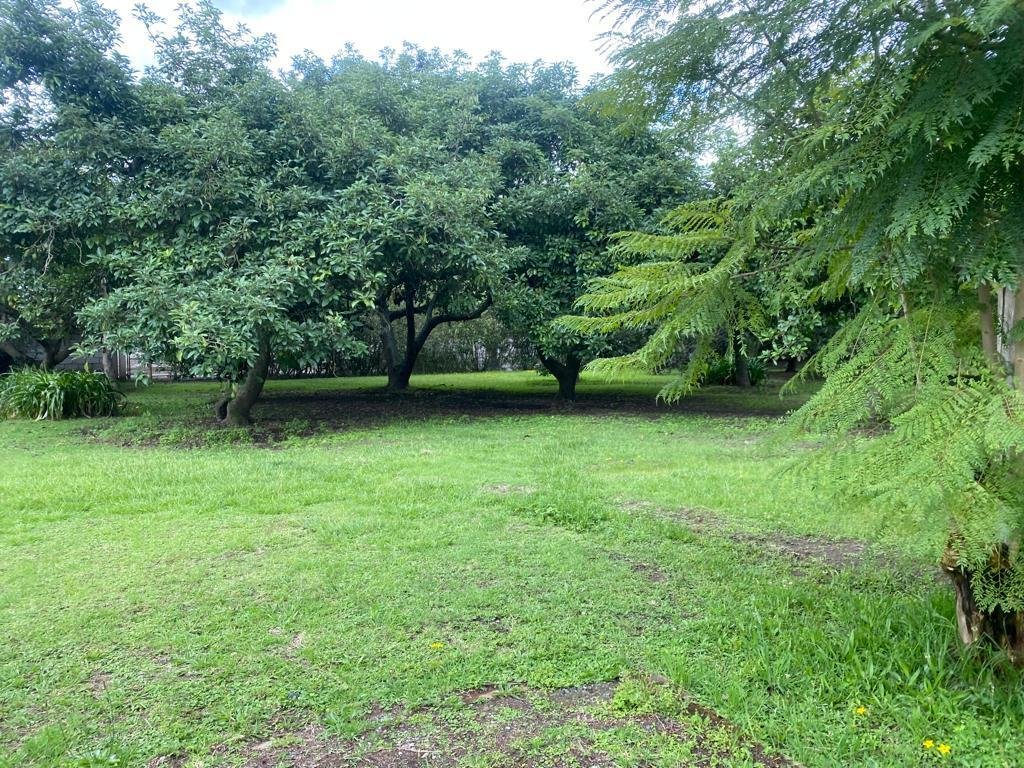 Land in Quito, Pichincha, Ecuador 1 - 18704338