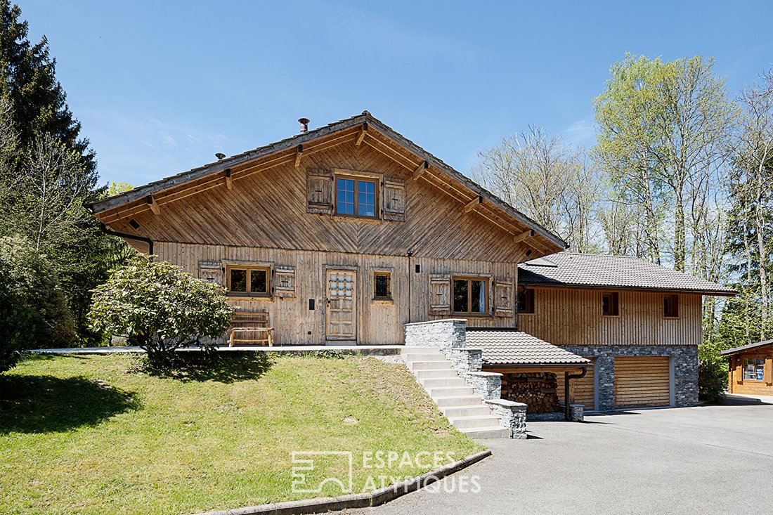 Villa in Bons-en-Chablais, Auvergne-Rhône-Alpes, France 3 - 18707391