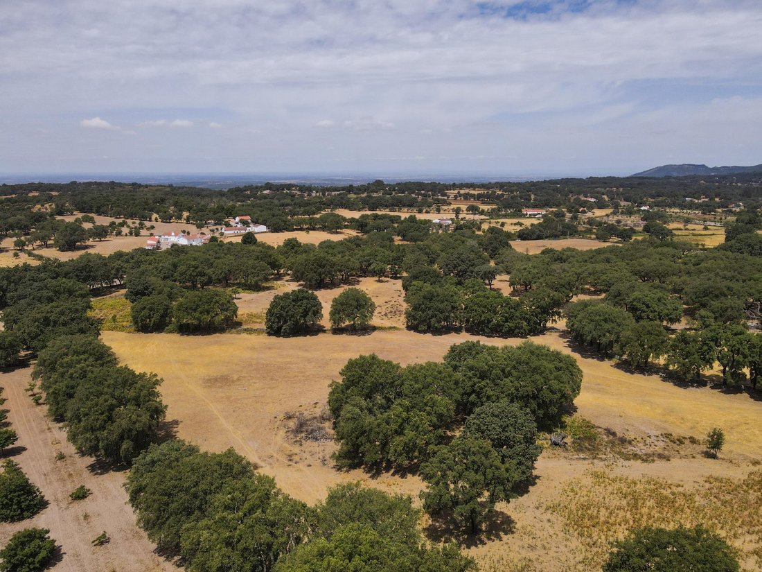 Finca in Sao Salvador da Aramenha, Portalegre District, Portugal 4 - 18710839