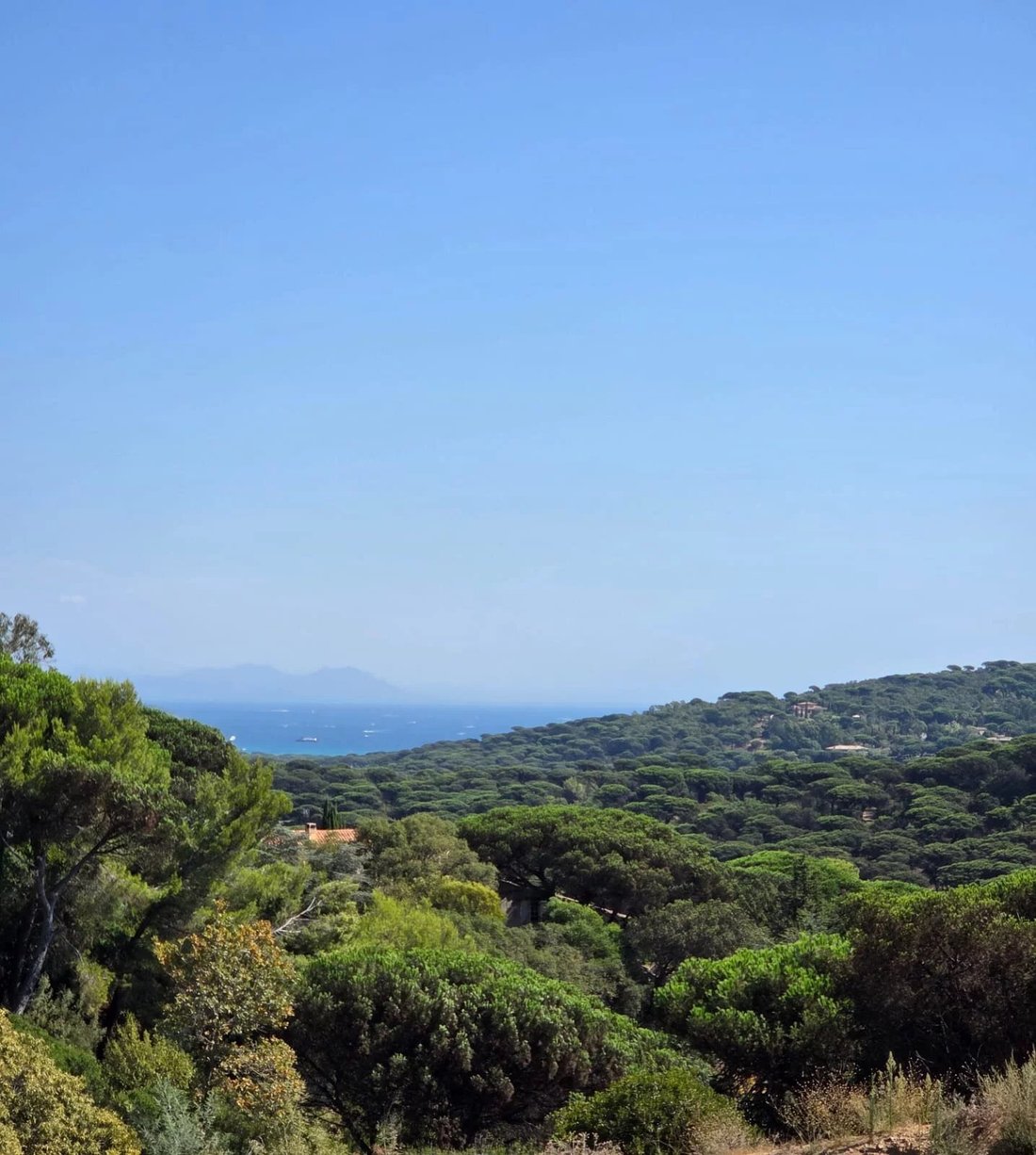 Land in Ramatuelle, Provence-Alpes-Côte d'Azur, France 2 - 18704467