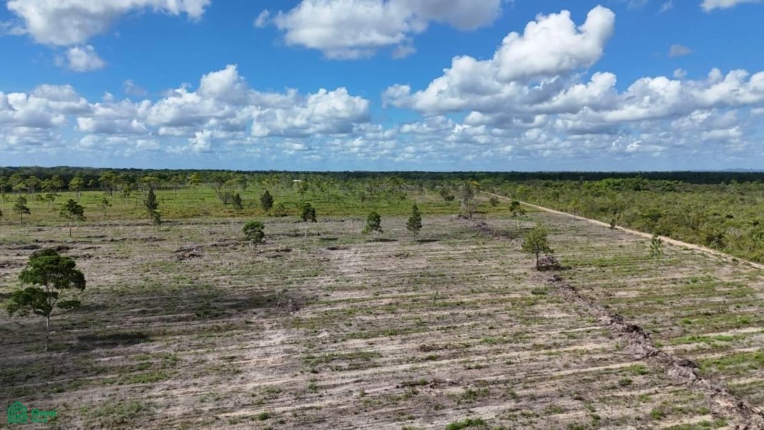 Terrain en Bladen, Tolède, Belize 5 - 18705365