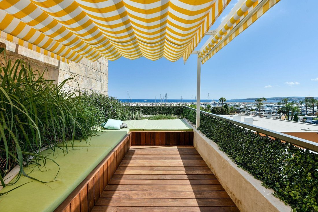 Apartment in Calvia, Balearic Islands, Spain 1 - 18714710