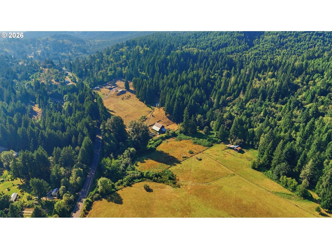 House in Amboy, Washington, United States 5 - 18708829