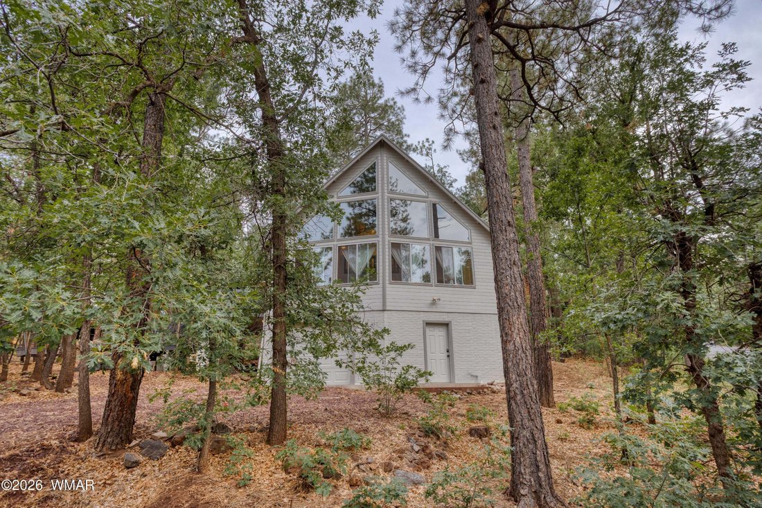 Pinetop, Arizona, United States 1 - 18705195