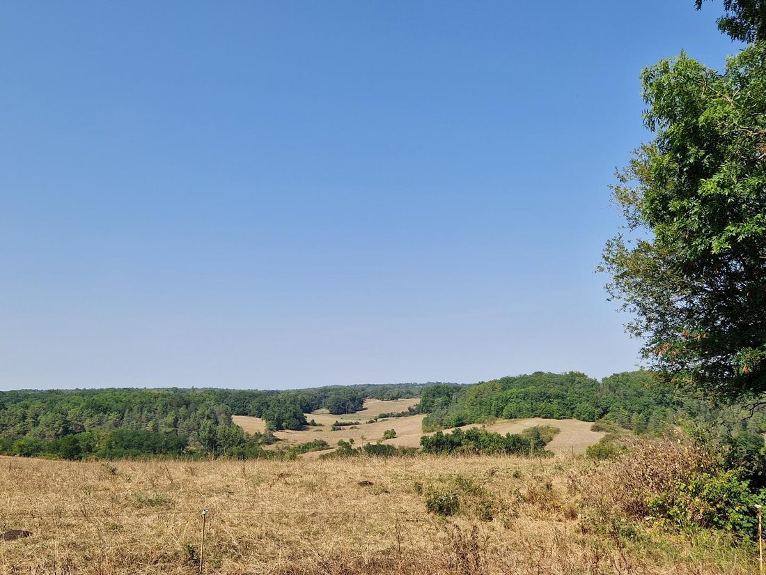 House in Le Bugue, Nouvelle-Aquitaine, France 5 - 18707121