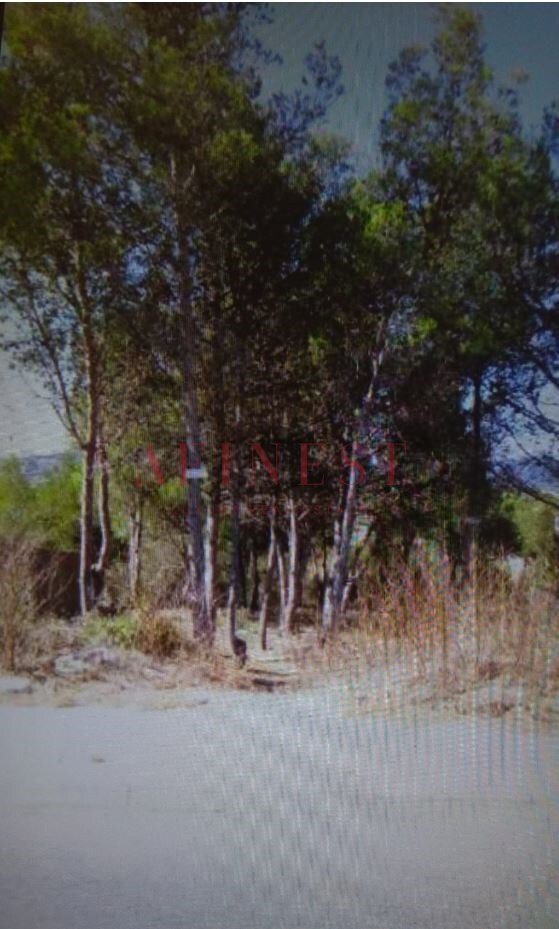 Land in Alcabideche, Lisbon, Portugal 4 - 18707307