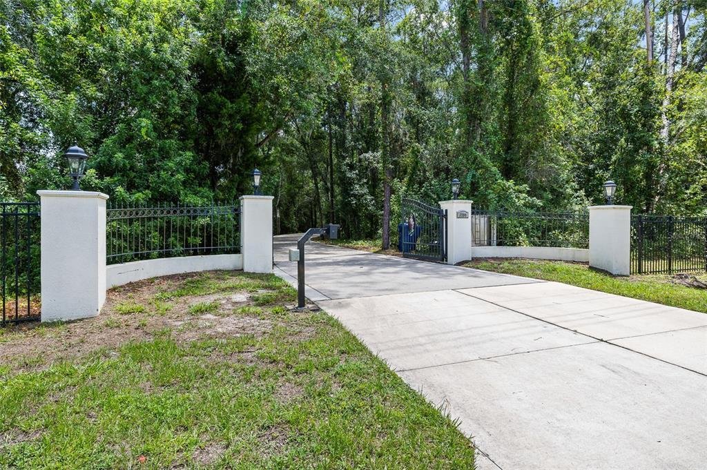 House in Land O' Lakes, Florida, United States 3 - 18702559