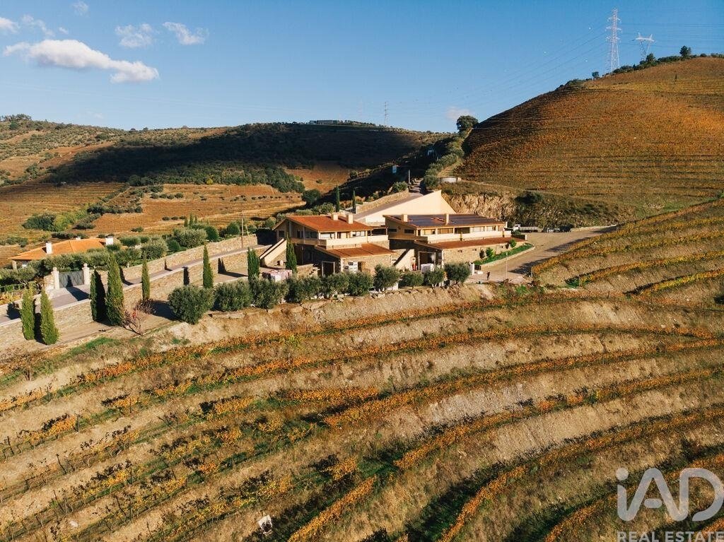 Farm Ranch in Folgosa, Viseu District, Portugal 3 - 18709165