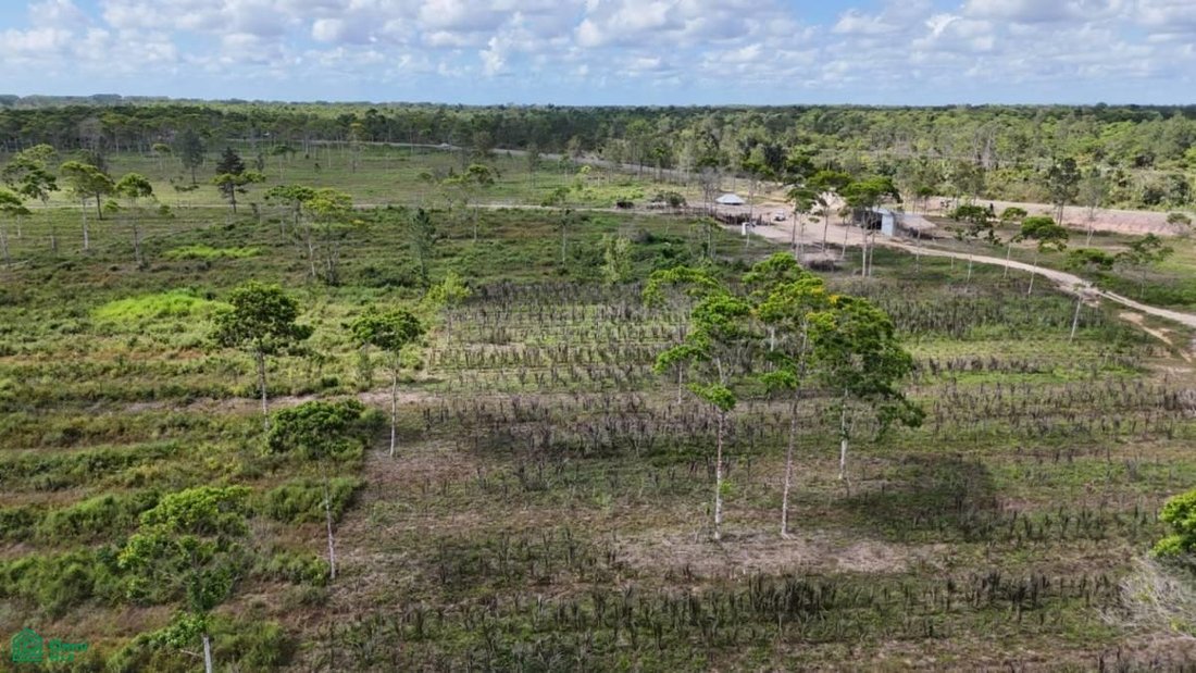 Terrain en Bladen, Tolède, Belize 3 - 18705365