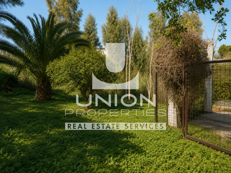 Land in South Athens, Attika, Griechenland 5 - 15372593